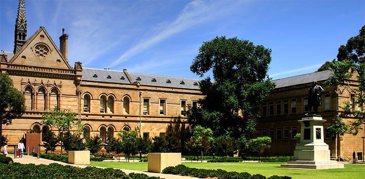  アデレード大学