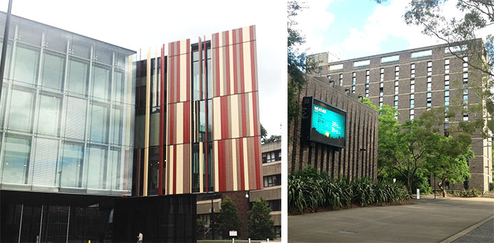  マッコーリー大学
