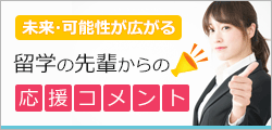 留学の先輩からの応援コメント
